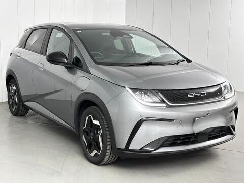 In Transit 2025 BYD Dolphine done only DEMO kms 2k